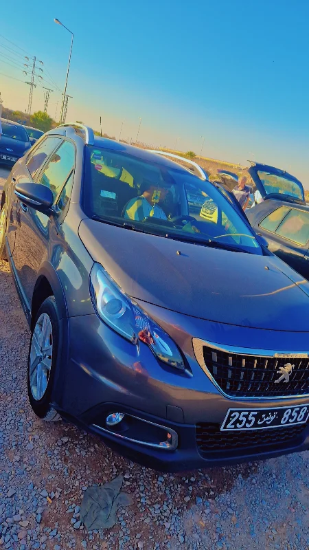 Peugeot 2008 - Photo 3