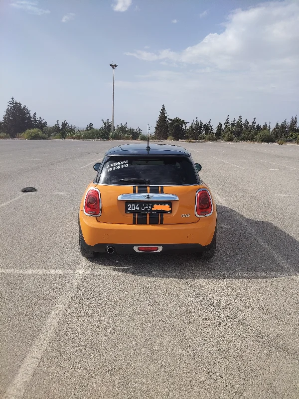 Mini AUTRE - Photo 12