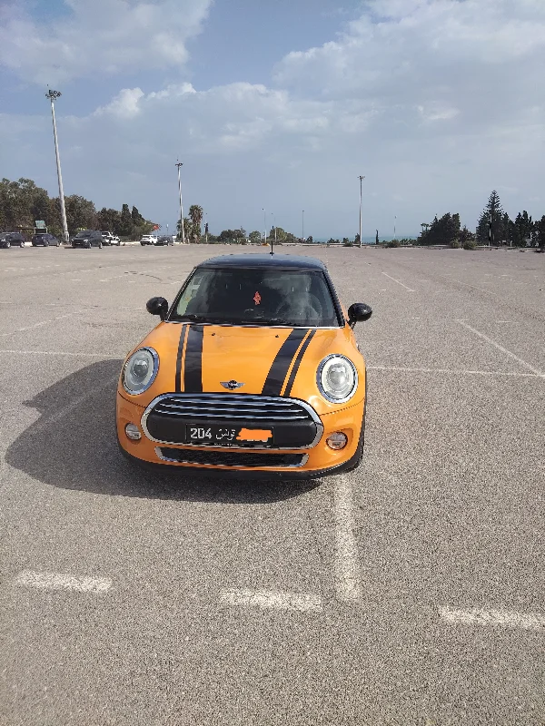 Mini AUTRE - Photo 9