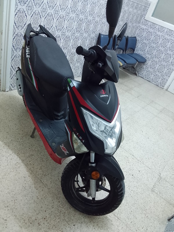 Zimota Eagle 50 à vendre - Image de l'annonce