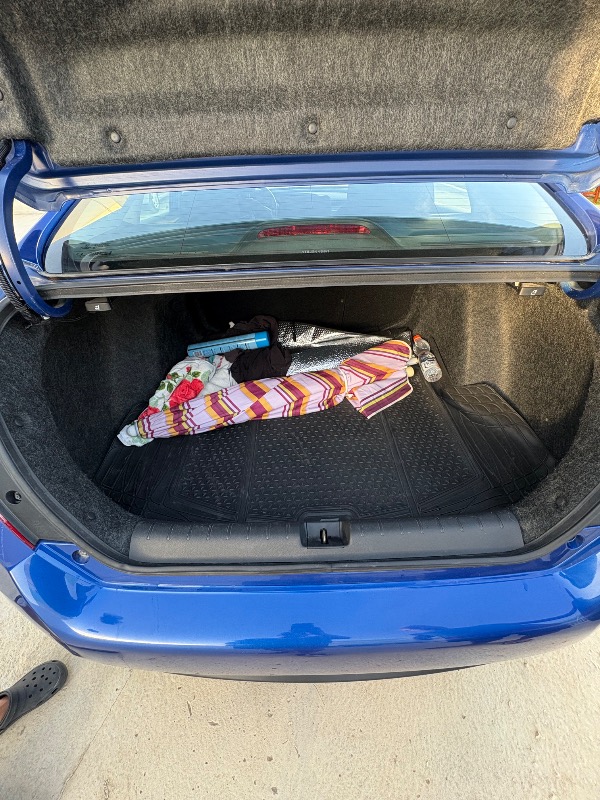Image 7