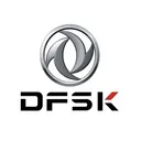 Voitures Dfsk en Tunisie