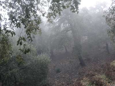 Photo de profil de Haithem nh