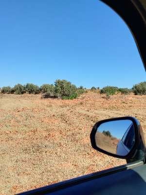 Photo de profil de Mouin Dimasdi