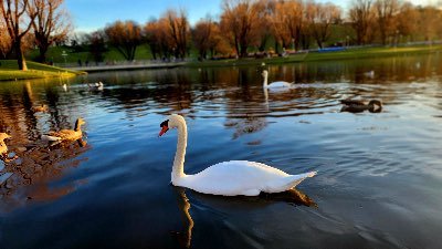 Photo de profil de Bilel saidi